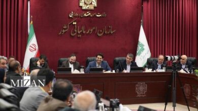 رویکرد تعاملی و تسهیل تکالیف مودیان، راهبرد اصلی نظام مالیاتی