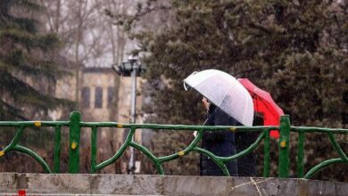 رگبار و رعد و برق همراه با وزش باد شدید در ۸ استان