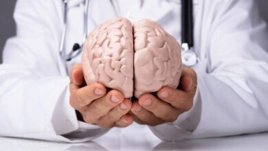 ساخت نمونه اولیه محصولات فناورانه در حوزه علوم شناختی حمایت میشود