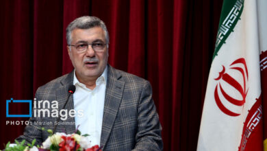 فعالیت ۱۷۲ هزار پزشک و ۷۵ هزار دانشجوی پزشکی/ از قانون برنامه جلوتر هستیم