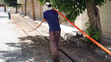 فرماندار: قطعی تلفن و اینترنت در فنوج بزودی پایان می‌یابد