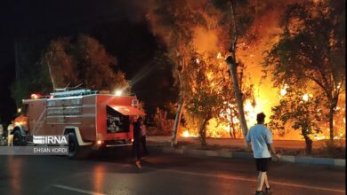 فیلم| آتش سوزی در بلوار ارتش دزفول