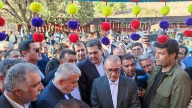 فیلم| جشنواره انگور سی سخت