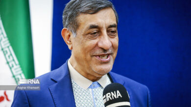 قائم پناه: دولت برای رفع مشکلات کشور برنامه‌ دارد