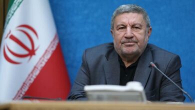 قدردانی رئیس شورای اطلاع‌رسانی دولت از رئیس مجمع تشخیص مصلحت نظام بابت تصویب CFT