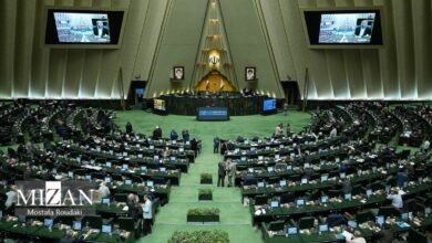 مجلس می‌تواند برای خرید تضمینی گندم جلسه برگزار کند