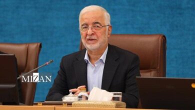 مومنی: امروز کمتر بچه‌دار شدن به نوعی پرستیژ تبدیل شده است/ کاهش جمعیت تهدیدی هویتی و تمدنی است