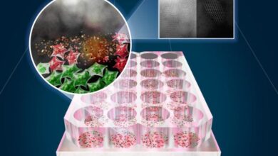 نابودی سرطان با نور و نانوذرات؛ نوید پایان عصر شیمی‌درمانی