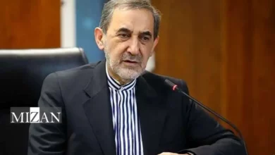 ولایتی: آغاز ‎آتش‌بس در ‎غزه ممکن است پشت صحنه پایان آتش‌بس در جای دیگری باشد