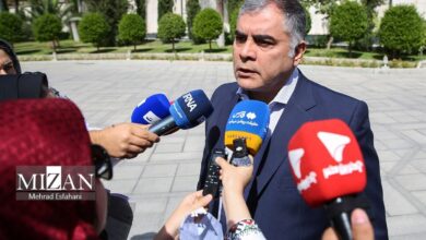 پاک‌نژاد: هیچ تصمیمی برای افزایش قیمت حامل‌های انرژی گرفته نشده است