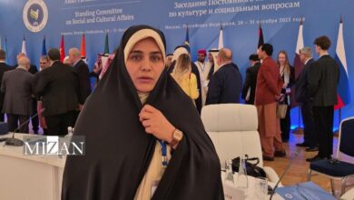 پیشنهاد ایران در قطعنامه APA برای به رسمیت شناختن حق قانونی مردم فلسطین تصویب شد