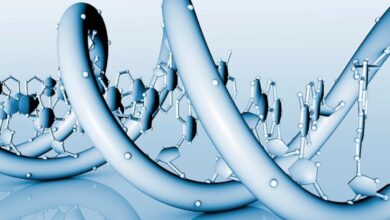 «ژنوس»؛ هوش مصنوعی تازه چین که بیماری‌ها را پیش‌بینی می‌کند