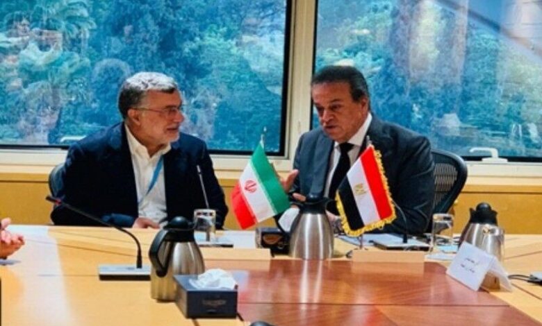 گسترش همکاری‌های ایران و مصر در حوزه‌های پزشکی، سلامت و دارو