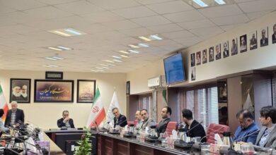 ۲۲ استاد دانشگاه گیلان در فهرست ۲ درصد محققان پر استناد جهان در سال ۲۰۲۵