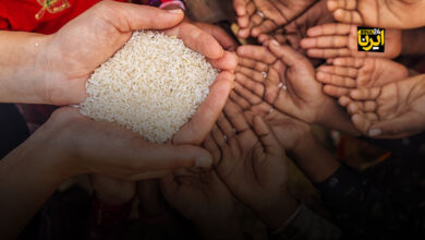 ۶۷۳ میلیون نفر در جهان با گرسنگی مواجه هستند