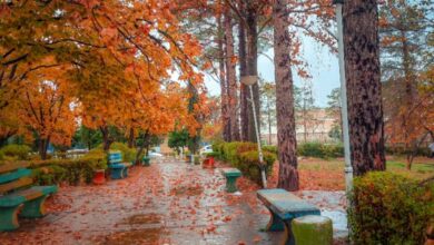 پاییز؛ بهترین فصل برای طبیعت گردی در ایران