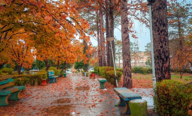 پاییز؛ بهترین فصل برای طبیعت گردی در ایران