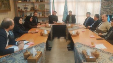 اعتبارات ویژه برای اشتغالزایی در حوزه صنایع دستی کردستان تخصیص یابد