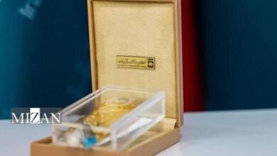 امکان ثبت ارزش شمش طلا به عنوان سرمایه خارجی فراهم شد