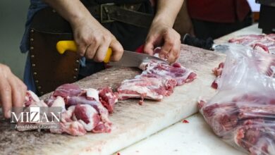 رکود و کاهش تقاضا در بازار گوشت بر اثر افزایش قیمتها/ واردات هم تاثیری نداشت