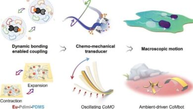 ریز ربات‌هایی که با گرمای بدن، حرکت می‌کنند