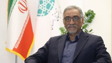 سرپرست معاونت پژوهشی وزارت علوم منصوب شد