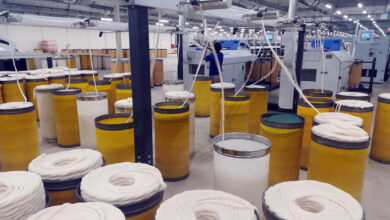 سیستان و بلوچستان میزبان «ایران ماهر»؛ از احیای قنوات تا آموزش مهارتی