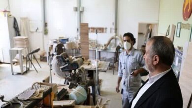 شرکت‌های دانش‌بنیان خراسان جنوبی افزایش یافت