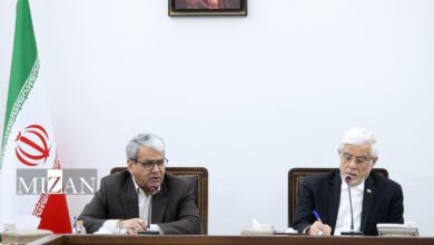 عارف: تجارب دولت‌های گذشته یک سرمایه محسوب می‌شود/ دولت نماینده اقتدار ملی است