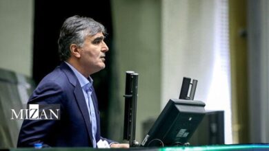 فرزین: ۵ بانک کفایت سرمایه منفی دارد