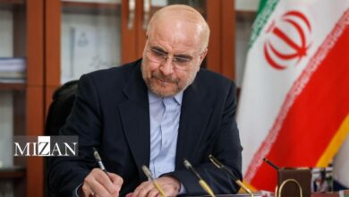 قالیباف: ما در مجلس شورای اسلامی ایران در مسیر توسعه همکاریها با پاکستان گام برمیداریم