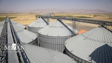 ناترازی ارزی و تأخیر در پرداخت‌ها عامل خروج بازار نهاده‌های دامی از تعادل