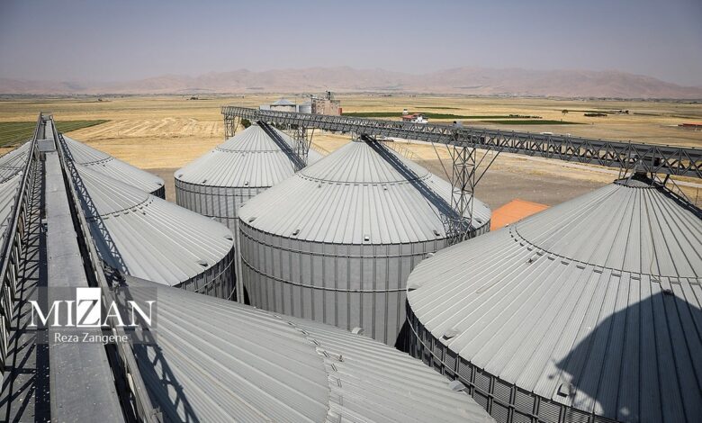 ناترازی ارزی و تأخیر در پرداخت‌ها عامل خروج بازار نهاده‌های دامی از تعادل