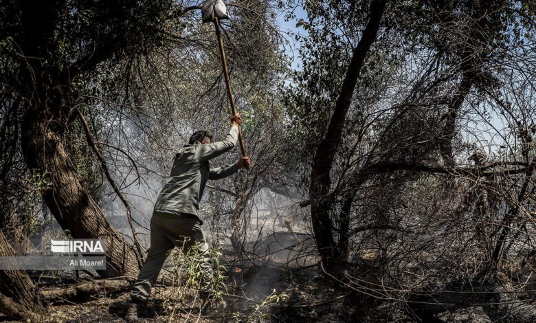 نبردِ تَن‌به‌تَن اِلیت با آتش