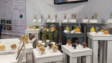 نمایشگاه دستاوردهای پژوهش و فناوری فارس گشایش یافت