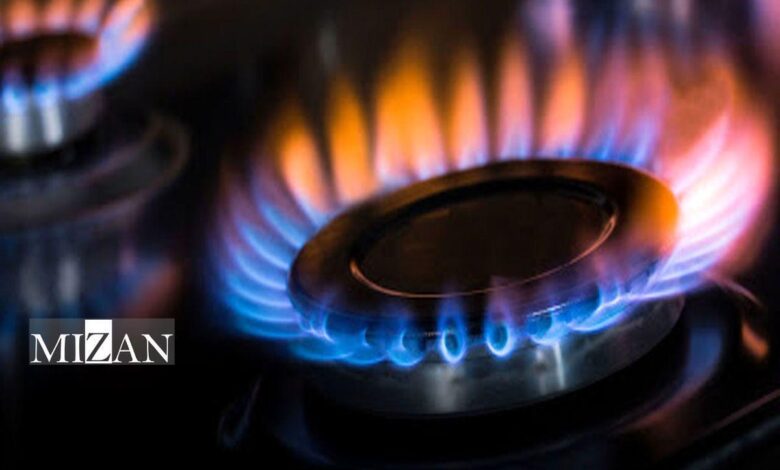 نماینده مجلس: اخذ قیمت صادراتی از پرمصرف‌های گازی اقدامی راهبردی است