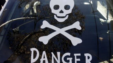 هشدار به نسل زد درباره مصرف تفننی مواد و رفتارهای پر خطر جنسی/ تغییر الگوی بروز اچ آی وی