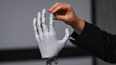 هوش مصنوعی فیزیکی؛ طلوع عصر جدید در تعامل ربات‌ها با انسان