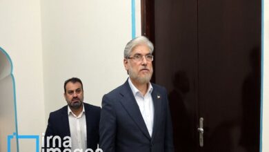 وعده وزیر علوم برای پیگیری قضایی مشکلات دانشجویان بین‌الملل پیام‌نور