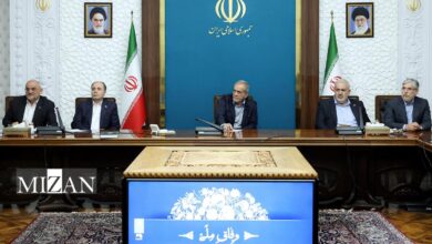 پزشکیان: استفاده از ظرفیت نخبگان، از ارکان اصلی تصمیم‌سازی در مدیریت چالش آب است