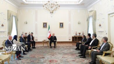 پزشکیان: ایران آماده گسترش روابط با اتریش است