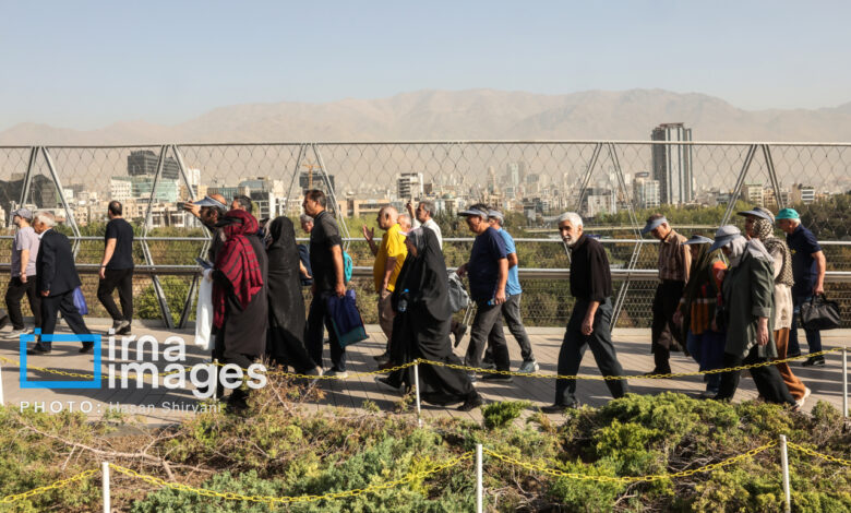 پیاده‌روی فقط در عصر باعث کاهش وزن نمی‌شود