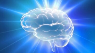 کشف ارتباط هورمون زنانه با سیستم پاداش مغز