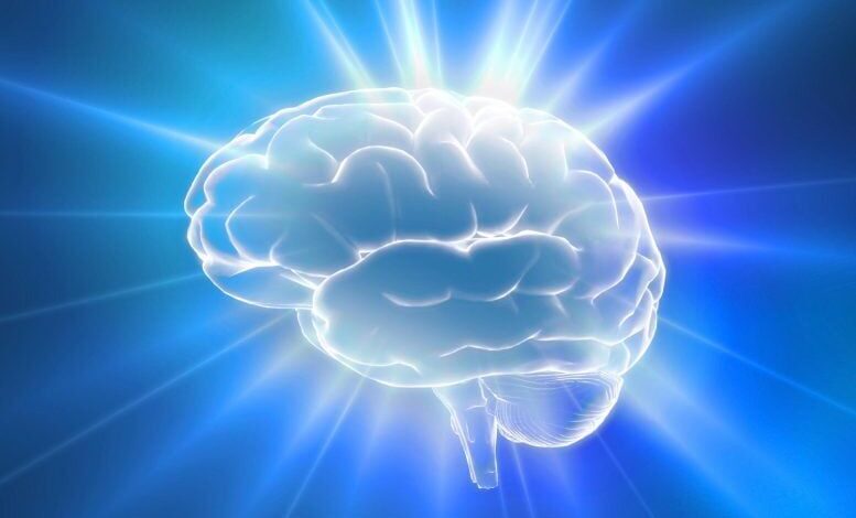 کشف ارتباط هورمون زنانه با سیستم پاداش مغز