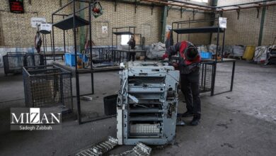 یک نماینده مجلس: کاهش دوره بازپرداخت وام اشتغال‌زایی تخطی از تکالیف قانونی است