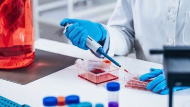 آشنایی با کاربرد هیدروژل‌های مهندسی‌شده در کشت سه‌بعدی سلول و چاپ زیستی