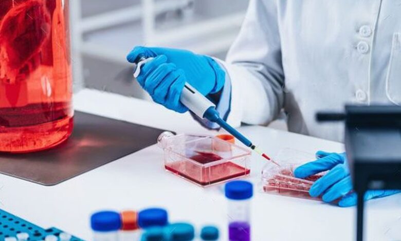 آشنایی با کاربرد هیدروژل‌های مهندسی‌شده در کشت سه‌بعدی سلول و چاپ زیستی