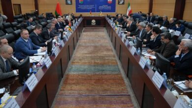 ایجاد خط مشترک تولیدات دارویی و پزشکی در بلاروس با همکاری ایران