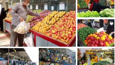 ایرانی‌ها سبزی و میوه نمی‌خورند؛ اقتصاد مقصر است؟