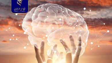 حل‌وفصل برخی منازعات مهم در فلسفه روانشناسی و علوم اعصاب